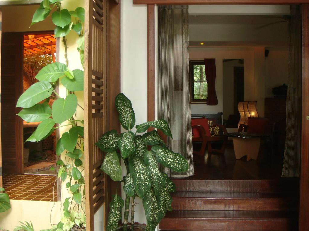 Bed and Breakfast La Cigale Тау Номер фото
